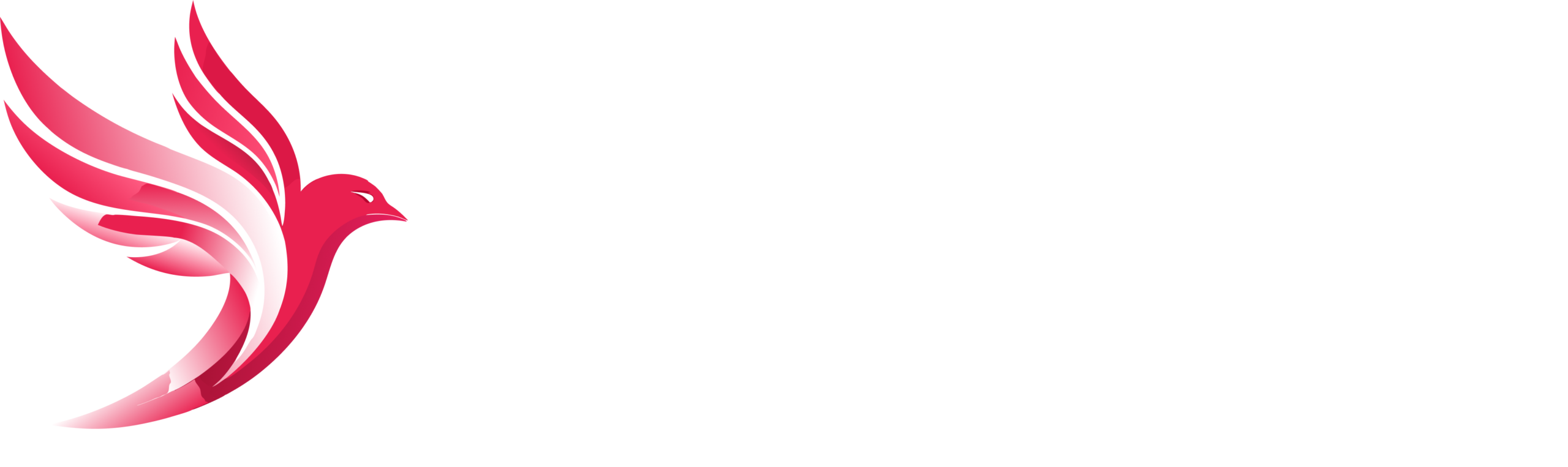 Udaan Digital